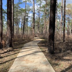 Pitcher Plant Trail - Trail