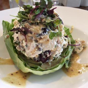 Hamilton's Kitchen - Chicken salad. Excellent - New American Near Me - Winter Park, Florida Hamilton's Kitchen - Chicken salad. Excellent - New American Near Me - Winter Park, Florida