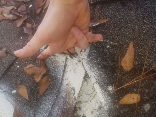 Progress Repair Logo