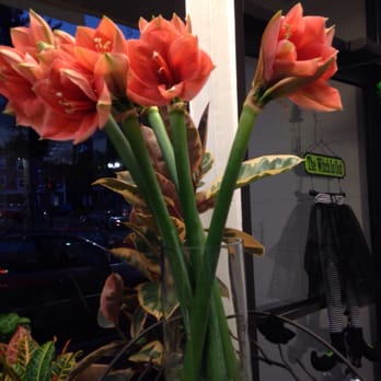 Amanda's Flowers - New location!!! - Florists Near Me - Brighton, Massachusetts