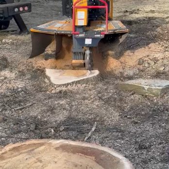 A General Tree Service - Stump remove - Tree Services Near Me A General Tree Service - Stump remove - Tree Services Near Me