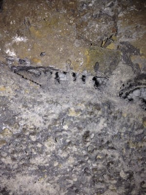 Uncle Billy's Kona Bay Hotel by null