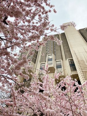 John P. Robarts Research Library by null