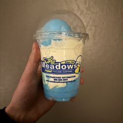 Meadows Original Frozen Custard - Blue razz gelati mmmmmm yummyness