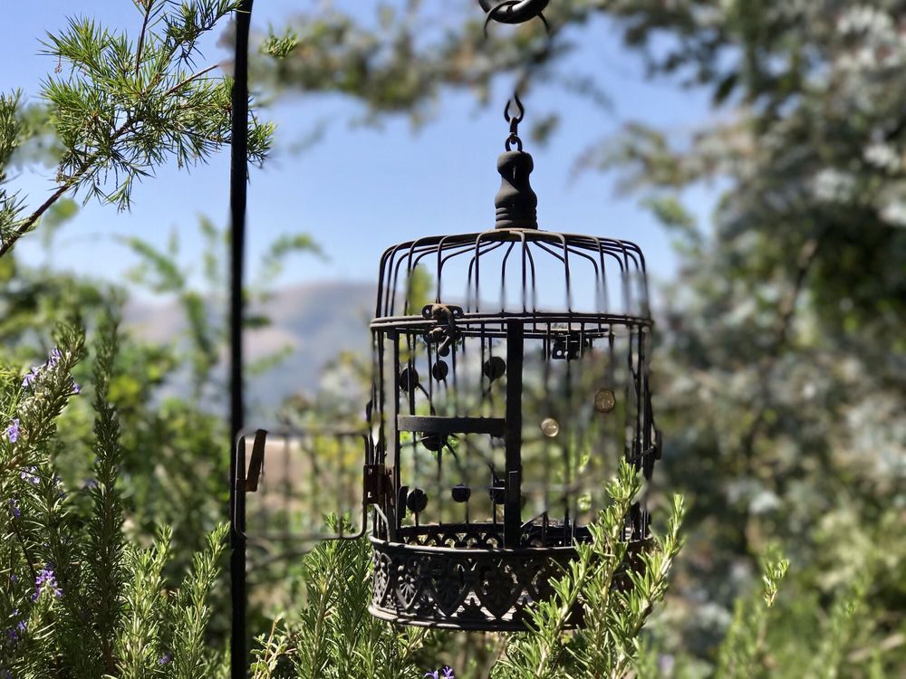 AROMAS FEED AND RANCH SUPPLIES Updated September 2024 95 Photos