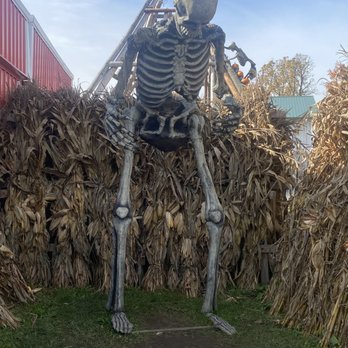 The Great Pumpkin Farm - Pumpkin Patches Near Me - Clarence, New York