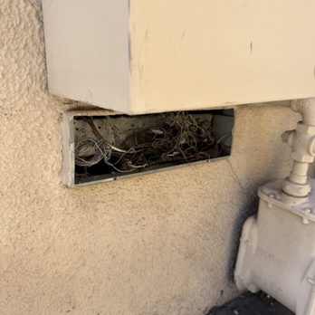 The Helm Management Co - Exposed wiring - Property Management Near Me - La Mesa, California The Helm Management Co - Exposed wiring - Property Management Near Me - La Mesa, California