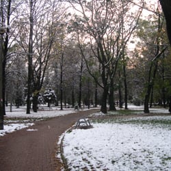 Park Szwedzki - alejki