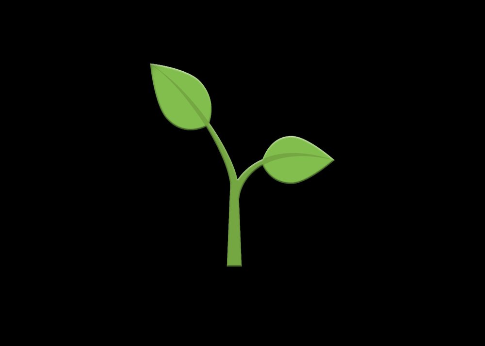 TAYLOR SOLUTIONS CLEANING Home Cleaning Glen Allen, VA Yelp