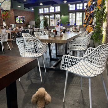 Joe’s Pho - Place is spacious and dog friendly! - Vietnamese Near Me - Dublin, California Joe’s Pho - Place is spacious and dog friendly! - Vietnamese Near Me - Dublin, California
