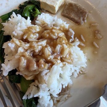 Jade Fountain Cafe - All dished out. Tofu and Rice with Chinese Broccoli which wasn't - Chinese Near Me - Sacramento, California Jade Fountain Cafe - All dished out. Tofu and Rice with Chinese Broccoli which wasn't - Chinese Near Me - Sacramento, California