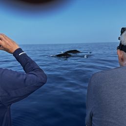 2 whales side by side! 2 whales side by side!