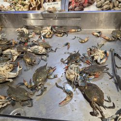 Kim Nhung Super Food - I was witnessing a massacre.