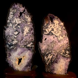 Angel’s Rocks And Fossils
