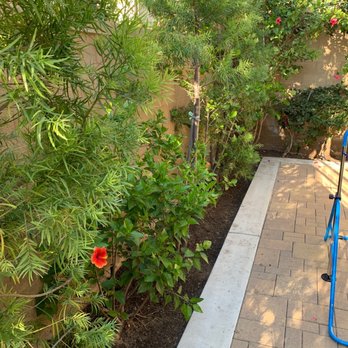 GN Landscape - Patio - Tree Services Near Me GN Landscape - Patio - Tree Services Near Me