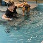 Photo of Animal Wellness Center of OC