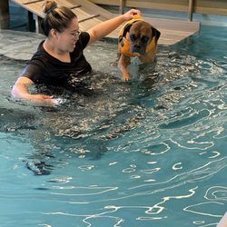 Animal Wellness Center of OC - Afternoon plunge!