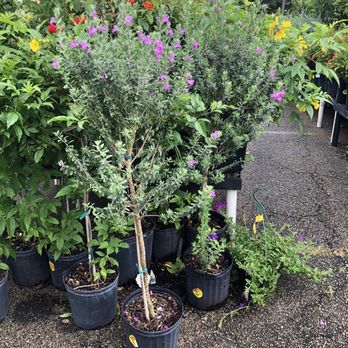 Houston Garden Centers - Nurseries & Gardening Near Me - Conroe, Texas