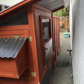 For The Birds CC - Pet Services Near Me For The Birds CC - Pet Services Near Me