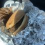 Photo of Cook Out