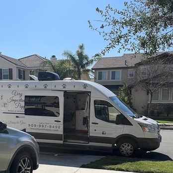 Very Important Puppy - Van - Pet Groomers Near Me Very Important Puppy - Van - Pet Groomers Near Me