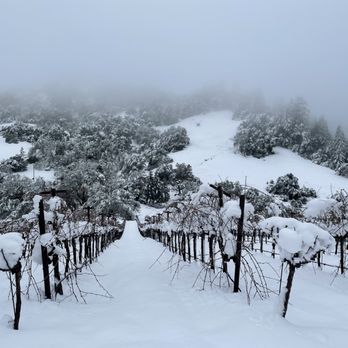 Cu Dona Winery - The first time our vines were snowed on - Wine Tasting Room Near Me - Cloverdale, California Cu Dona Winery - The first time our vines were snowed on - Wine Tasting Room Near Me - Cloverdale, California