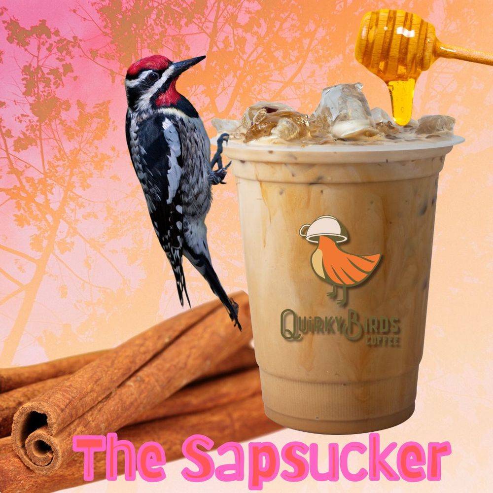 Quirky Birds Coffee Bar