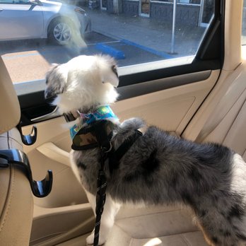 Easy Breezy Pet Groom & Grub - Pet Stores Near Me - La Mesa, California