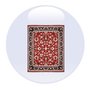 Photo of Eilite Chem-Dry