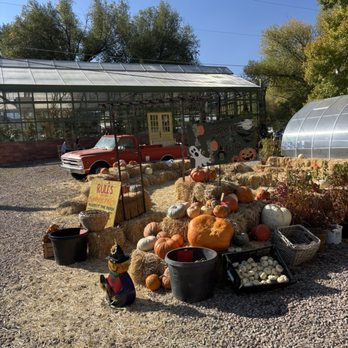 Park City Gardens - Nurseries & Gardening Near Me - Park City, Utah Park City Gardens - Nurseries & Gardening Near Me - Park City, Utah