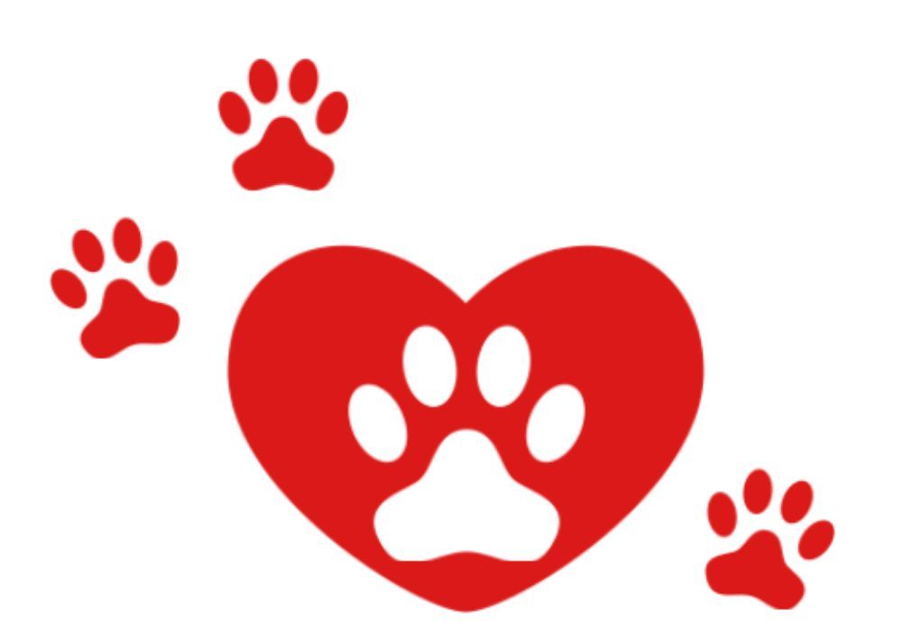 HEARTS 4 PAWS PET SITTING El Paso, Texas Pet Sitting Phone Number