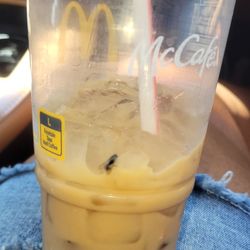 Dead fly(s) in my ice coffee