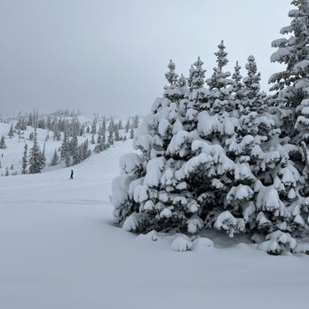 Brian Head Resort - Giant step mountain just around chair 8. - Resorts Near Me - Brian Head, Utah Brian Head Resort - Giant step mountain just around chair 8. - Resorts Near Me - Brian Head, Utah