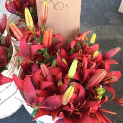 Shoreview Farmers Market - Fresh local flowers!