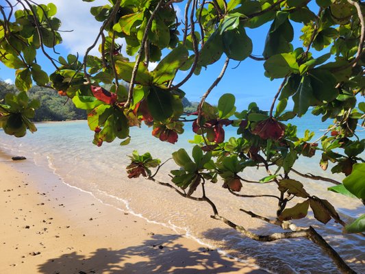 Anini Beach by null