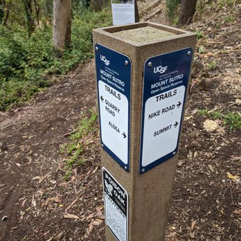 Mount Sutro - Parks Near Me - San Francisco, California