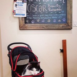 North Port Animal Hospital