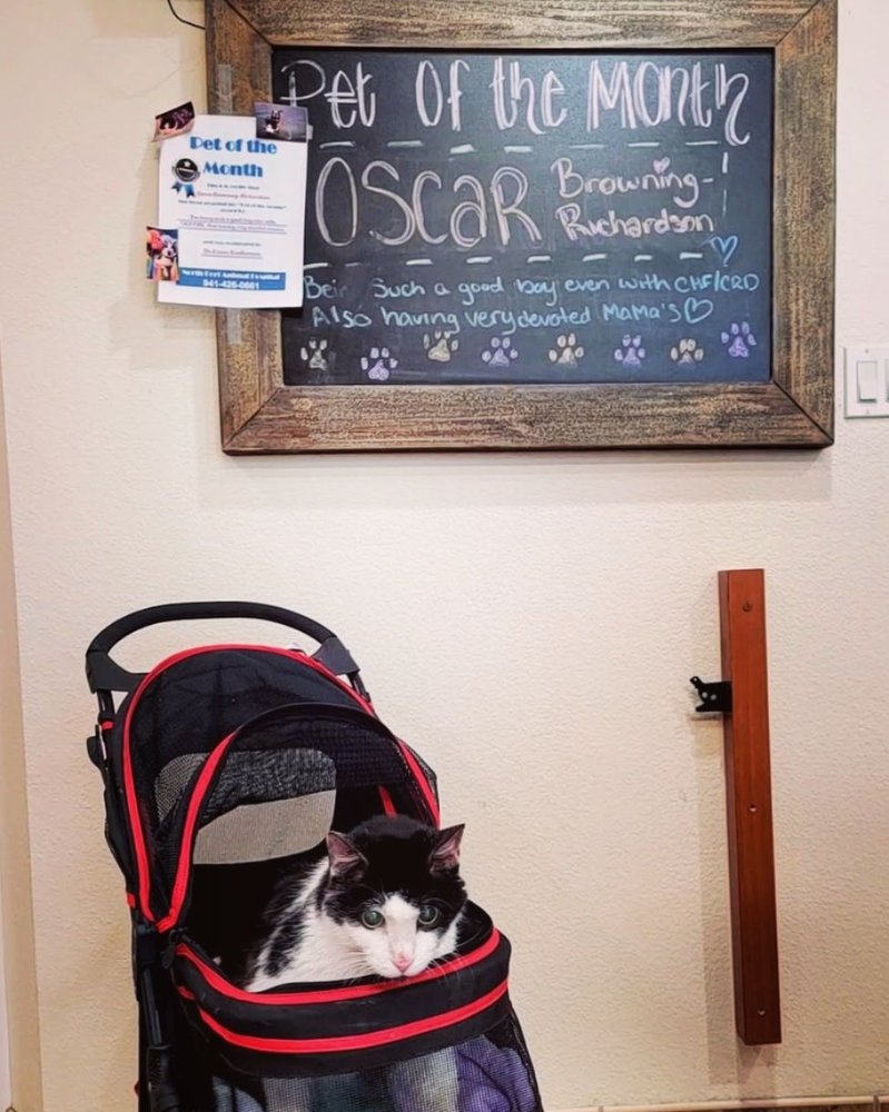 North Port Animal Hospital Image