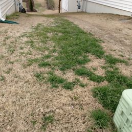 Notice the distinct line of poa annua, and the left side has been treated by Fairway Green. Shameful. Notice the distinct line of poa annua, and the left side has been treated by Fairway Green. Shameful.