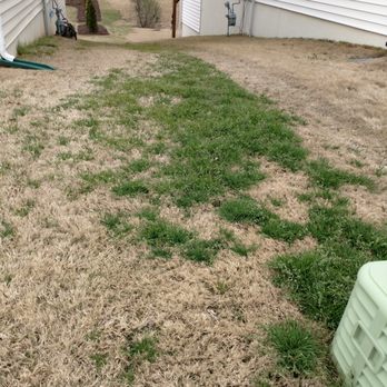Fairway Green - Notice the distinct line of poa annua, and the left side has been treated by Fairway Green. Shameful. - Lawn Services Near Me - Raleigh, North Carolina Fairway Green - Notice the distinct line of poa annua, and the left side has been treated by Fairway Green. Shameful. - Lawn Services Near Me - Raleigh, North Carolina