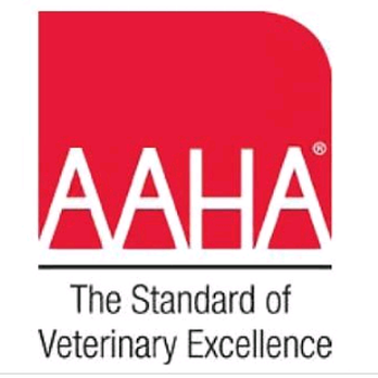 Pulaski Veterinary Clinic - Veterinarians Near Me - Pulaski, Wisconsin