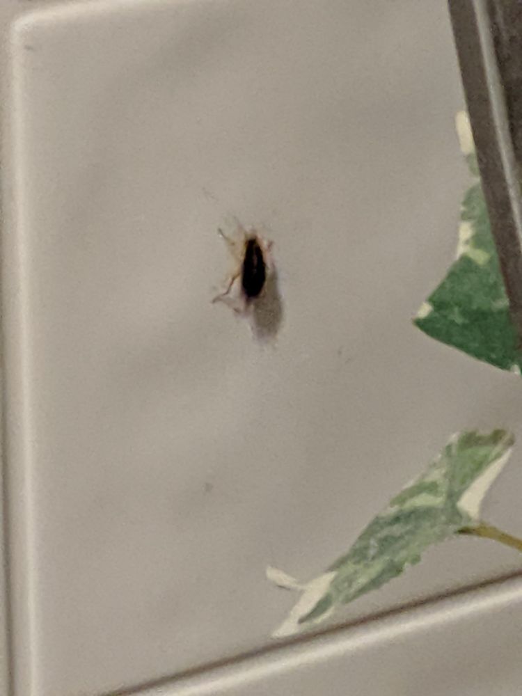 LITTLE ASIA 10 Photos & 26 Reviews 916 Steinhagen Rd, Warrenton