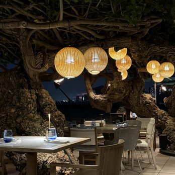 Hau Tree - The ambiance is comforting, relaxing and luxurious! - Seafood Near Me - Honolulu, Hawaii