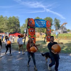 Maize Adventure - Pumpkin patch entrance