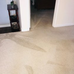 Oxi Fresh Carpet Cleaning