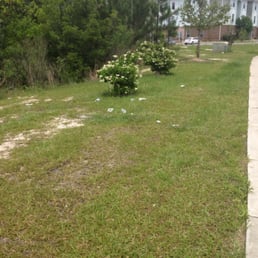 Trash and uncut grass. Trash and uncut grass.