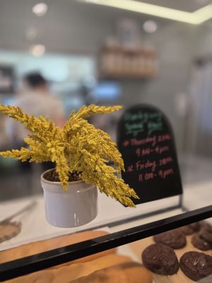 Vegan Cuban Cuisine by null