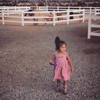 The Alpaca Hacienda - Attraction Farms Near Me - Temecula, California
