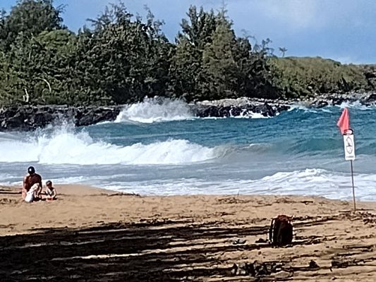 D.T. Fleming Beach Park by null