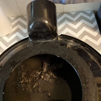 Oxi Fresh Carpet Cleaning - Carpet Cleaning Near Me Oxi Fresh Carpet Cleaning - Carpet Cleaning Near Me